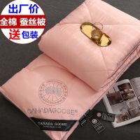 特价蚕丝被全棉夏凉被空调被春秋被子被芯薄棉被加厚冬被