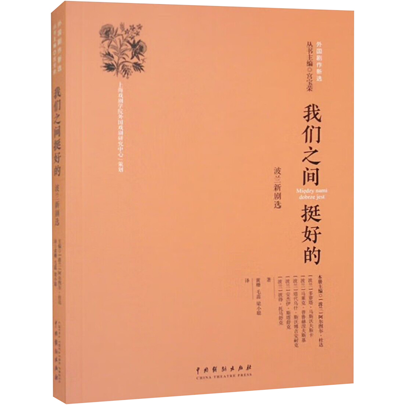 醉染图书我们之间挺好的 波兰新剧选9787104053217高清大图