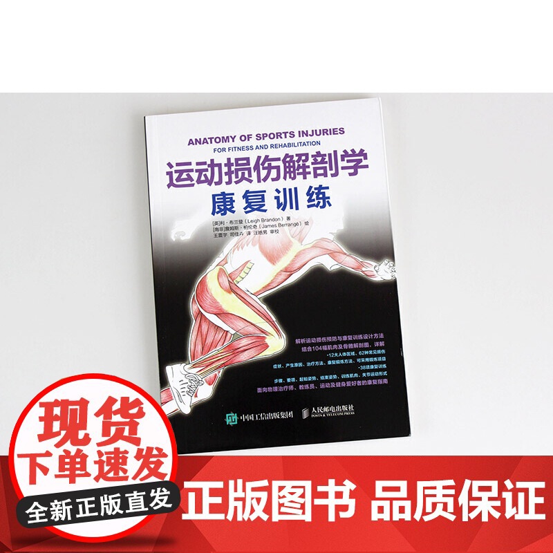 运动损伤解剖学 康复训练 [英]利·布兰登(Leigh Brandon) 解析运动损伤预防与康复训练设计方法 结合104高清大图