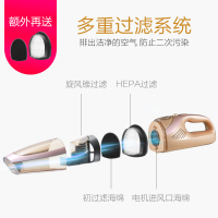 海尔(Haier)无线立式吸尘器ZL1106G 金色 家用手持式 吸拖一体机 小型强力干湿两用 狗毛大吸力