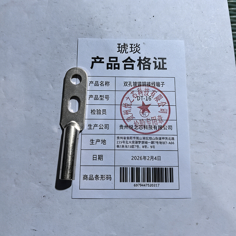 琥琰 双孔镀锡铜接线端子 DT-16 个高清大图