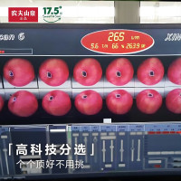 [冠町甄选]农夫山泉17.5度苹果 新疆阿克苏红富士水果礼盒装14枚85MM礼盒装约3.8KG