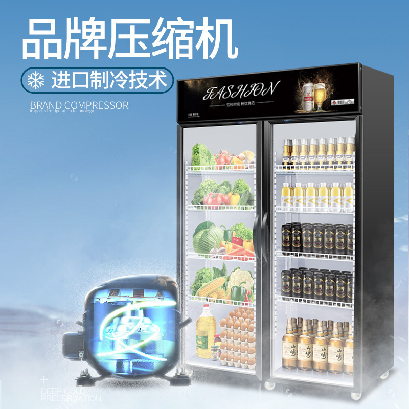 飞天鼠(ftianshu)冷柜zsg001报价_参数_图片_视频_怎么样_问答-苏宁