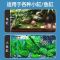 迷你加热棒自动恒温鱼缸乌龟加温棒龟缸超短小型水族箱石英加热器