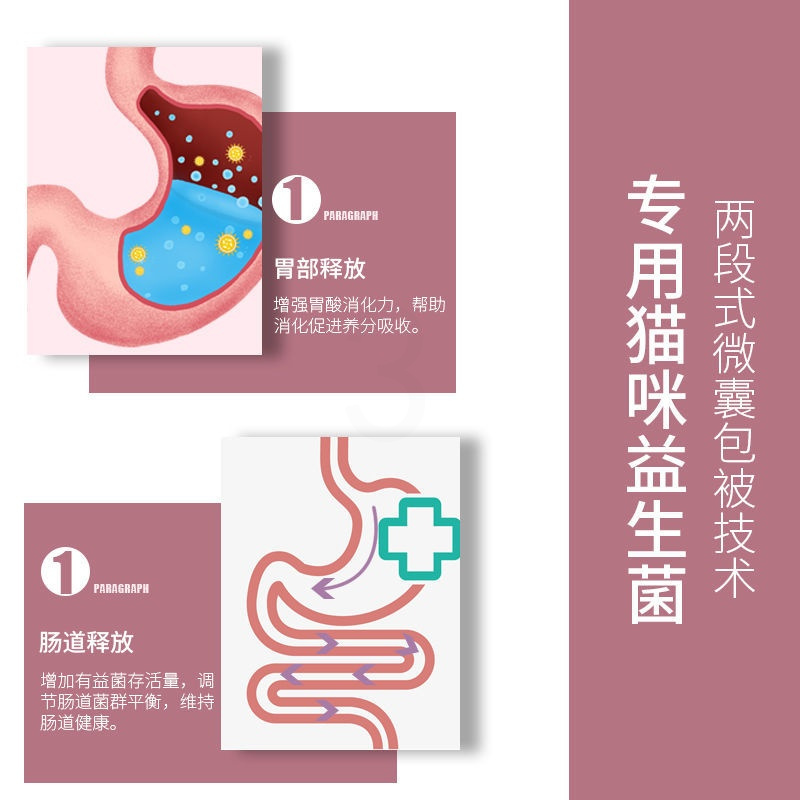宠物猫咪狗狗益生菌兔子仓鼠肠胃调理拉稀软便止腹泻呕吐保健品 新宠之康盾牌益生菌-1袋试吃
