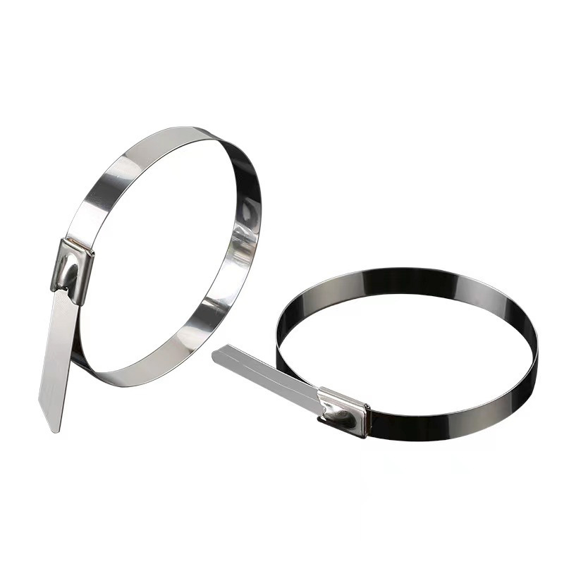 具安金 不锈钢扎带 16*600mm*100条 包高清大图