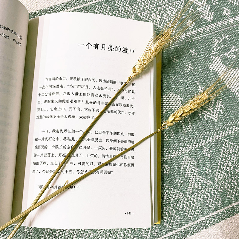 [正版]随机礼品生从容 在众声喧哗中保持从容 贾平凹 自在独行姐妹篇创作50年精粹文学中国文学散文随笔小说书