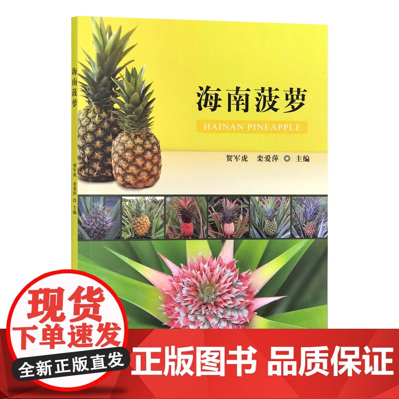 海南菠萝高清大图
