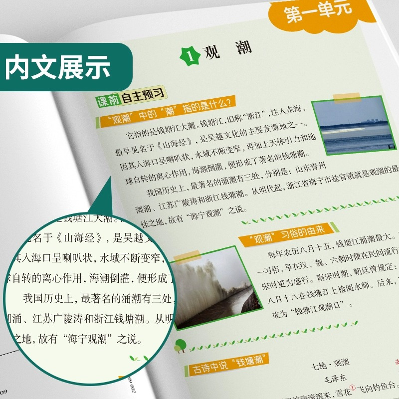 [苏教版]数学 四年级上 [正版]2023新版春雨实验班学霸笔记小学三年级上册一二四五六年级上下册语文数学英语全科目任选