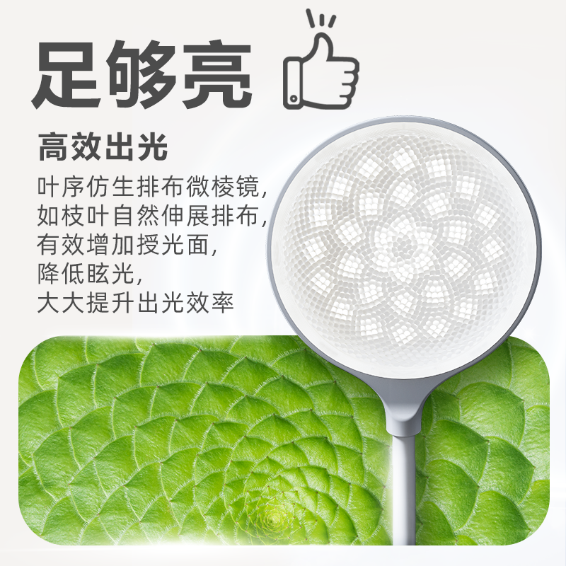 【飞利浦1140】台灯 酷耶高清大图