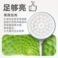 [飞利浦1140]护眼夹子灯充电学习专用学生宿舍书房卧室床头可夹阅读灯 酷耶