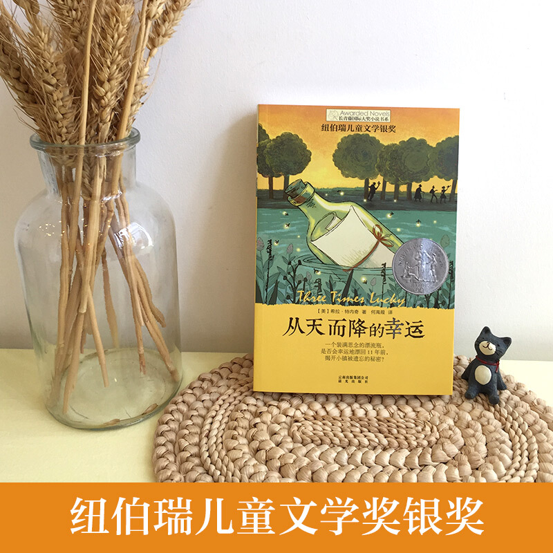 从天而降的幸运 [正版]从天而降的幸运 长青藤大奖小说书系列 儿童文学 校园成长8-10-12岁小学生初中4567四五六高清大图