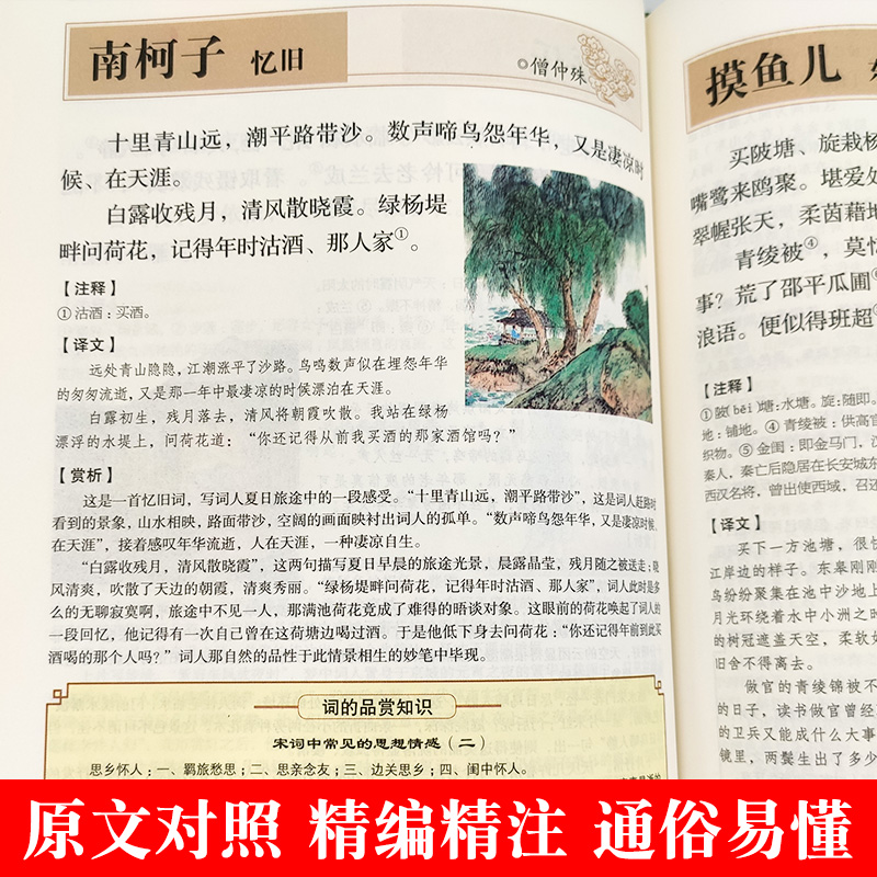 [正版]彩图宋词三百首全集鉴赏辞典经典宋词选全宋词原文译文注释全解成人版初高中小学生课外阅读元曲宋词300首上海古籍出高清大图