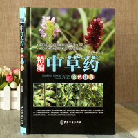 精编中草药原色图谱彩图版精装 收录400种常见中草药植物特征性味功能炮制主治用法 中草药彩色图谱图集 中医养生保健医学入