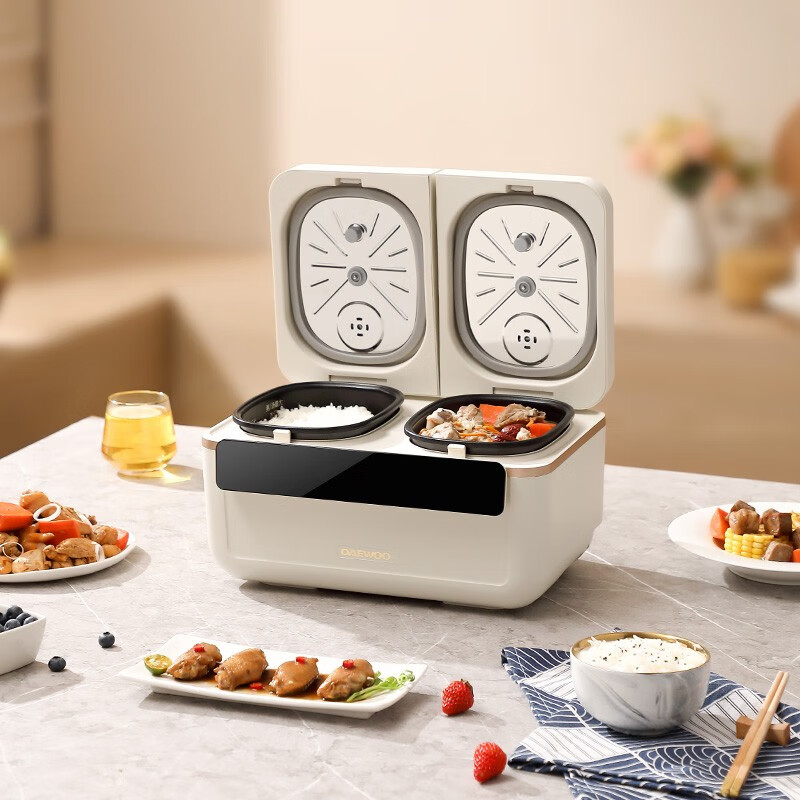 大宇(DAEWOO)双胆电饭煲家用多功能蒸煮智能养生电饭锅DYFB-4020星云白高清大图