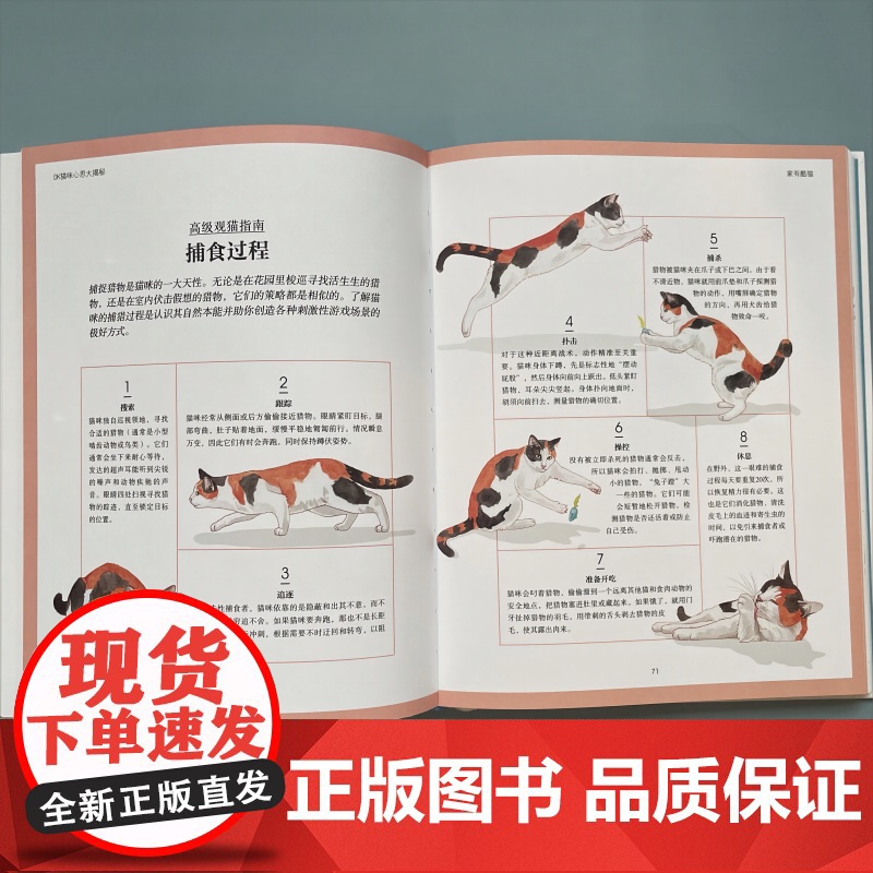 DK猫咪心思大揭秘 乔刘易斯上海文化出版社宠物生活喵星人铲屎官日常高清大图