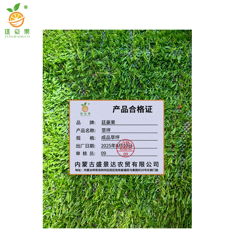 廷豪果 草坪 成品草坪 /平方米高清大图