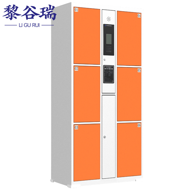 黎谷瑞智能寄存柜 存包柜6门人脸识别台