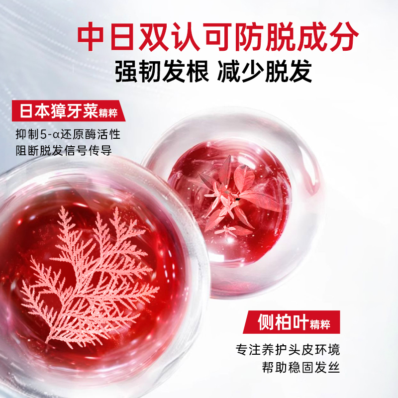 卡蓓诺强韧防脱洗发水 350mL 日本进口高清大图