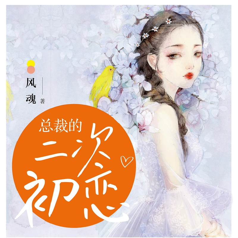 正版 总裁的二次初恋 风魂 贵州人民出版社 9787221152657 书籍高清大图