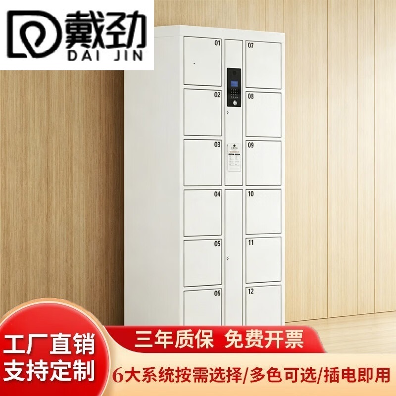 戴劲 智能电子存包柜商场超市物品寄存柜铁皮储物柜 12门红外条码款