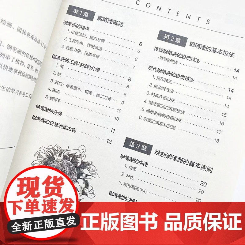 钢笔线描基础教程实战练习 新手自学入门 钢笔画教程书钢笔画手绘表现技法黑白钢笔画速写植物建筑城市风景描摹本素描线描素材高清大图