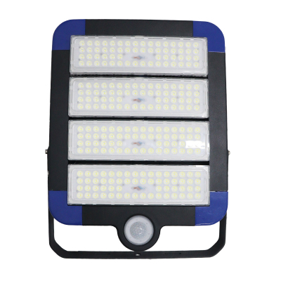 鼎晟丰(DSF)DSFGZ-936T-200 220V 200W IP66 LED LED智睿全维智能泛光灯 (计量单位:个)