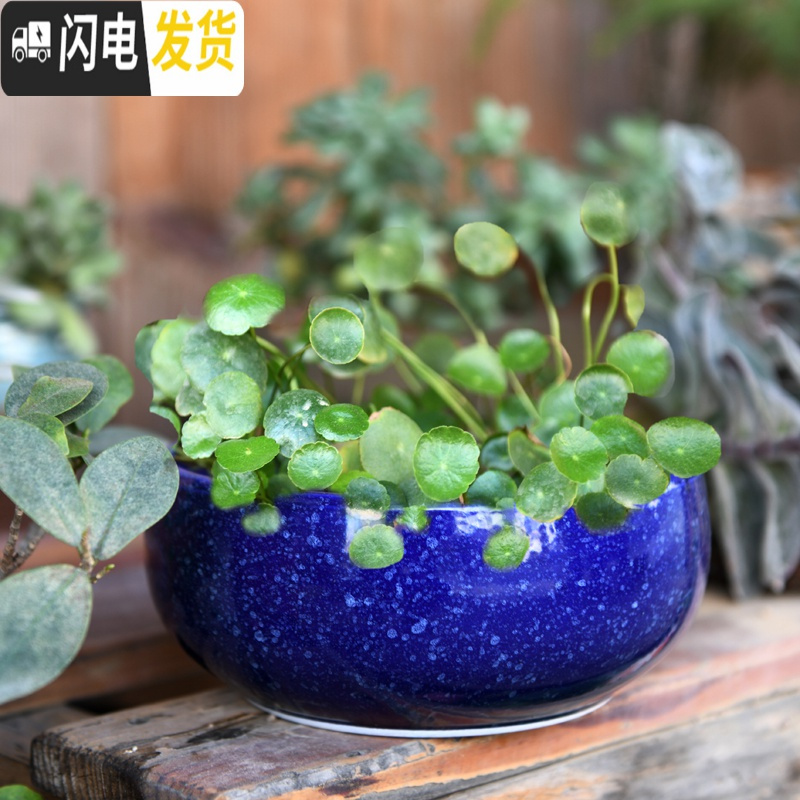 三维工匠铜钱水仙花盆陶瓷 简约创意水培绿萝碗莲大号多肉无孔盆栽 无孔-花香三个15厘米 大花盆容器