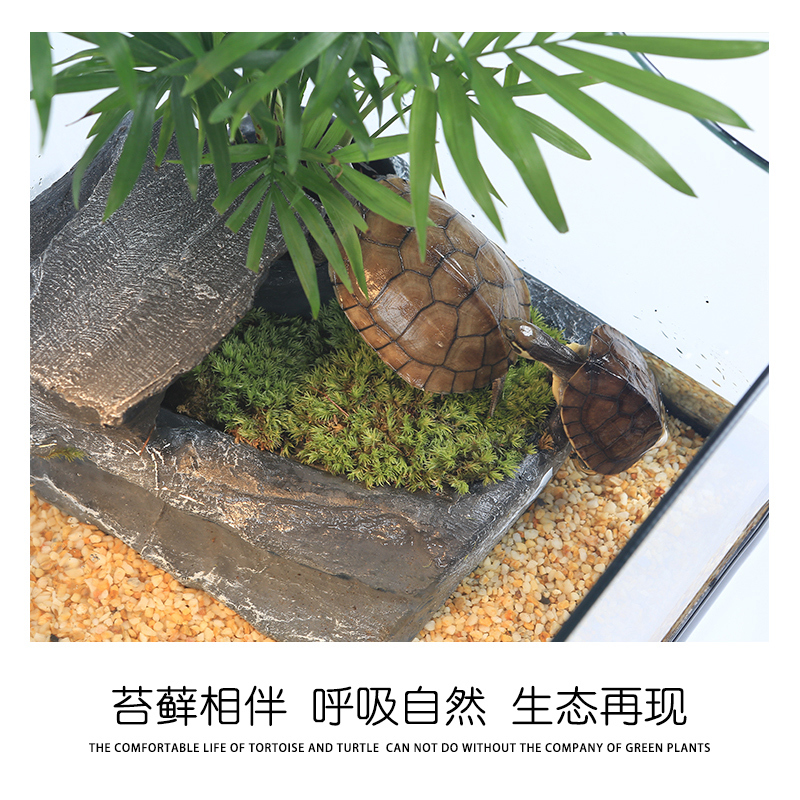 乌龟缸带晒台造景水陆缸玻璃大型水龟缸巴西龟开放式生态乌龟别墅