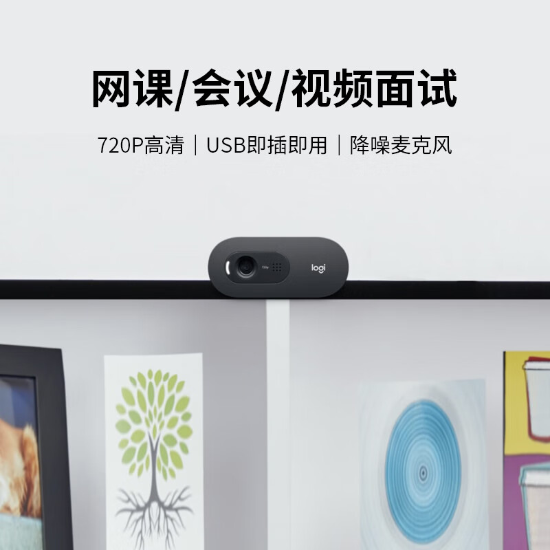 罗技 C270i 企业级高清USB网络家用摄像头 电脑电视摄像头(计价单位:台)高清大图