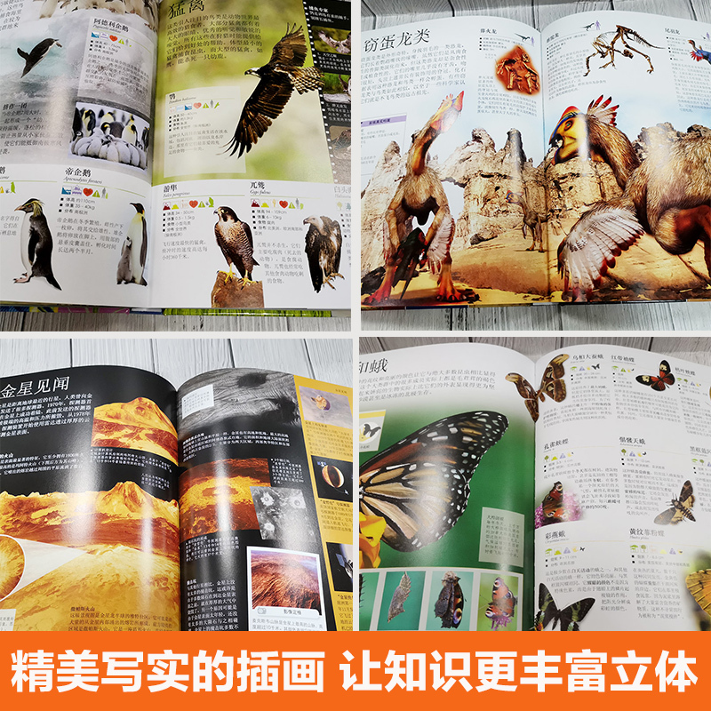 DK儿童百科全书 [正版]DK儿童海洋百科全书 6-12岁中小学生生物博物大百科中文版精装硬皮彩图绘本少儿儿童科普丛书课