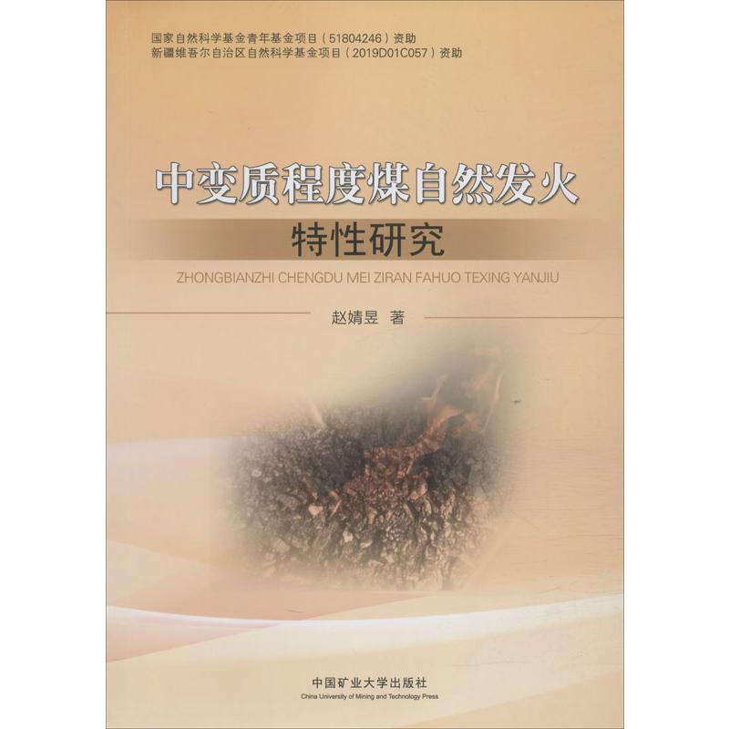 醉染图书中变质程度煤自然发火特研究9787564609146高清大图