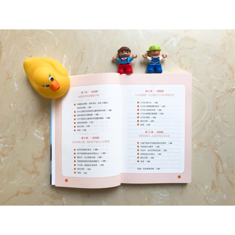 【M】儿童大脑开窍指南 科学提升孩子的智力、语言、情绪、运动与创意能力-9787121384479