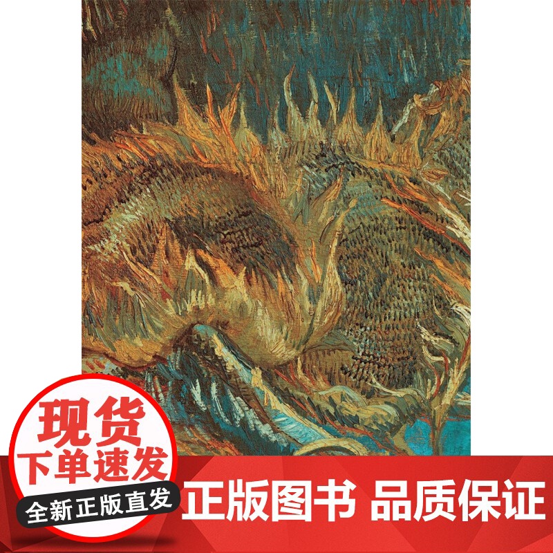 凡高 灵魂之色 恩里卡·克里斯皮诺 著 传记高清大图
