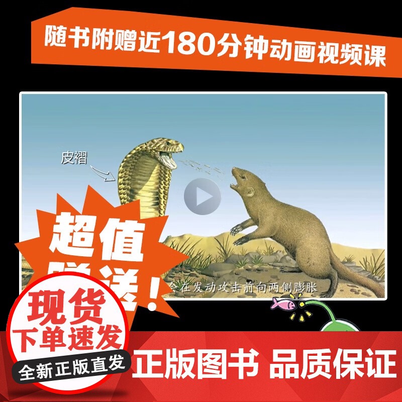 太酷啦 动物的秘密如此多 7-14岁 凯特·贝蒂等 著 科普百科高清大图