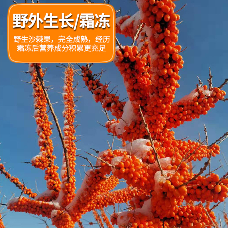 敏昂(M) 沙棘果500g(250g*2瓶)