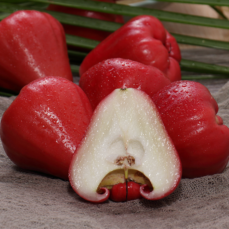 [西沛生鲜]海南红宝石莲雾 中果 净重2.5斤 单果50-65g 当季新鲜水果特大果雾莲黑金刚连雾果整箱高清大图