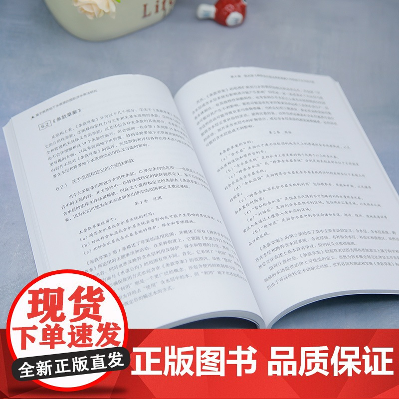 基于跨界地下水资源的国际涉水条法研究 加布里埃尔埃克斯坦著 跨界地下水法律的全面汇编和深入分析 清华大学出版社