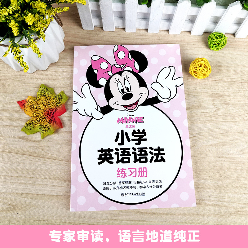 [正版]迪士尼小学英语语法练习册 出版社 迪士尼英语语法 小学一二三四五年级英语语法 小学英语语法拔高专项习题训练练习