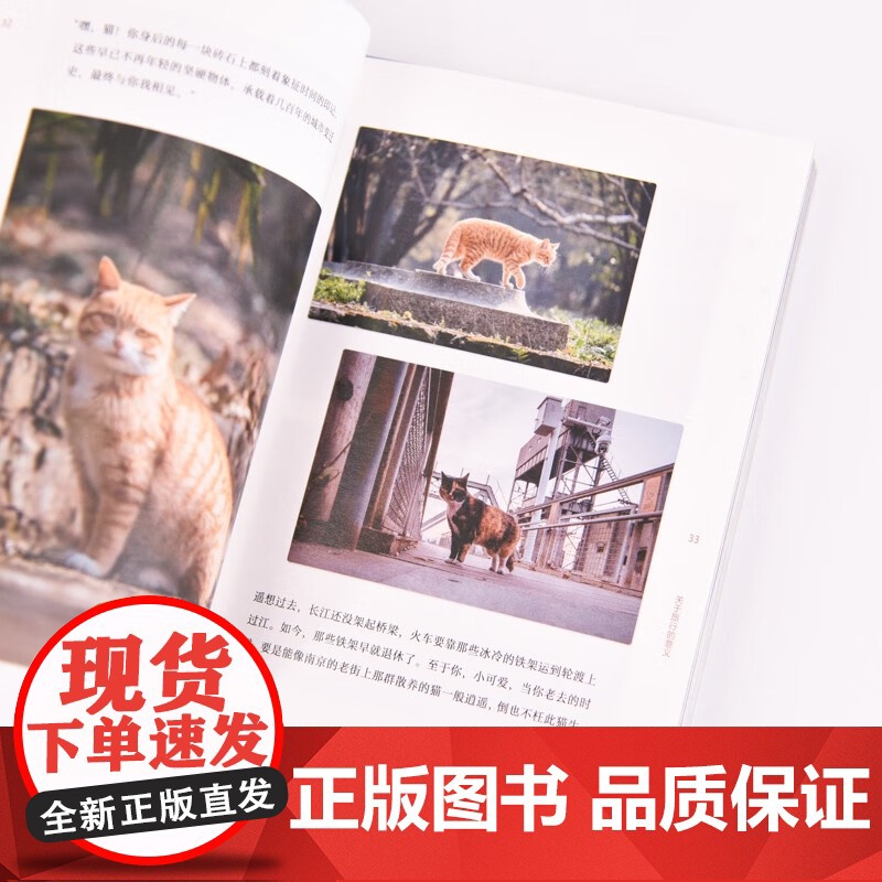 喵在江南 徐岩 著 摄影高清大图