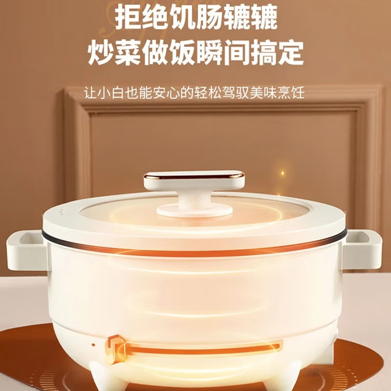 北欧阿萨asa大容量4L多功能电火锅AHG-001(单位:个)高清大图