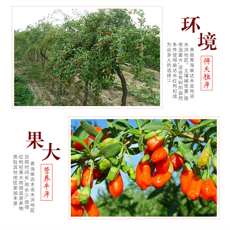 格拉三江80克红枸杞