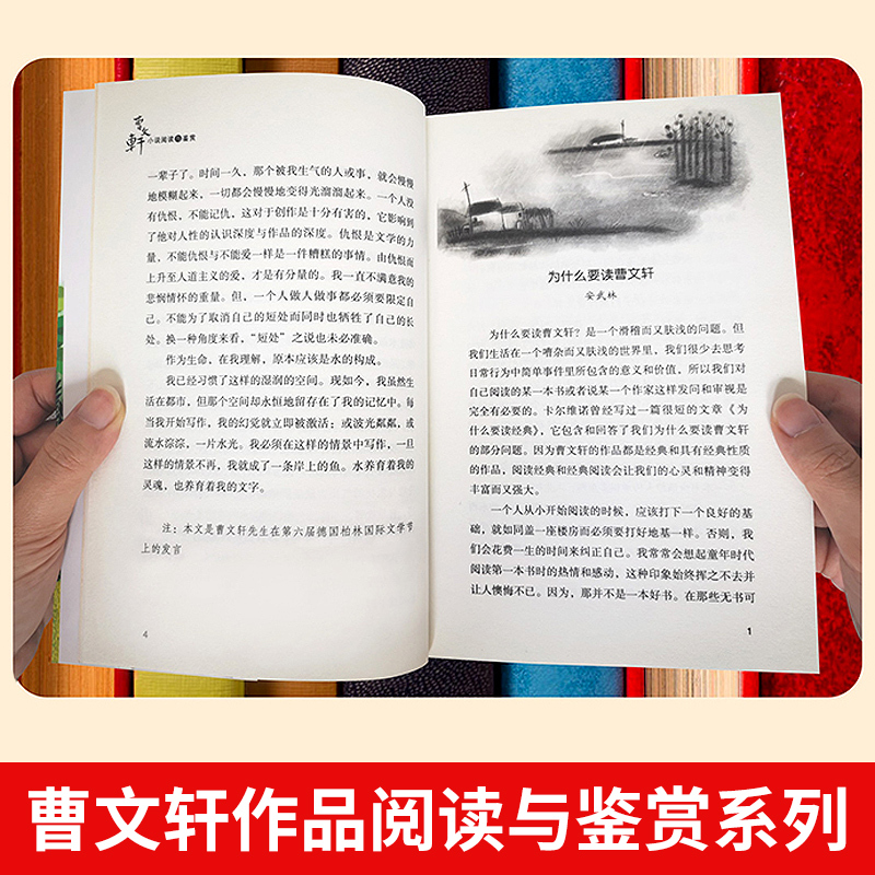 青铜葵花(3件26.8 4件35) [正版]青铜葵花曹文轩作品四年级下册阅读课外书籍经典儿童文学全套小学生三五六年级