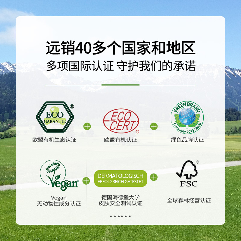 Almawin 德国进口洗碗机专用洗涤剂 洗碗机机体专用洗碗粉 餐具清洁剂去油污 2.8kg