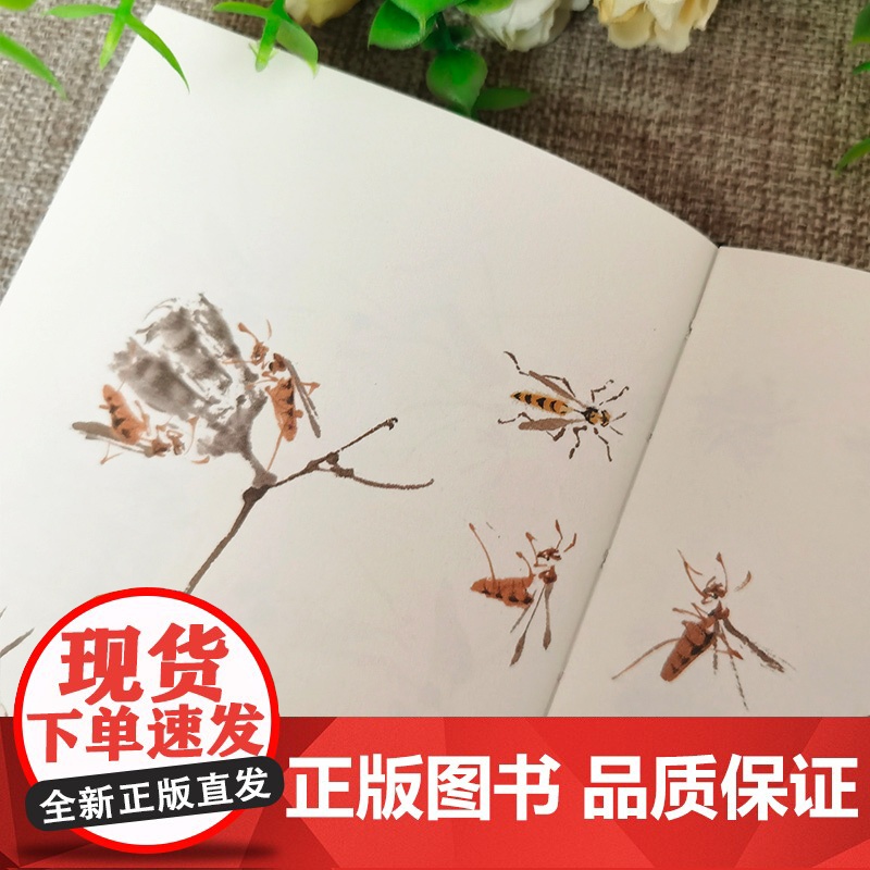 萧朗画草虫 36开精装口袋本 萧朗画集 萧朗草虫画花鸟画作品集 当代名家画集赏析 萧朗国画写意画集 天津人民美术出版社高清大图