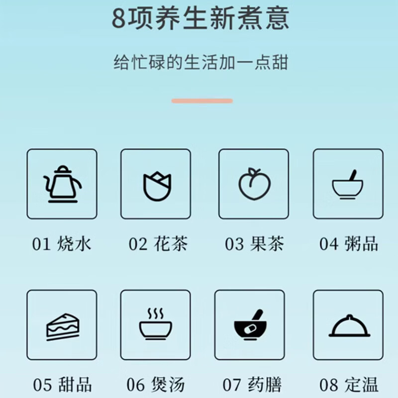 蓝宝(BLAUPUNKT) BP-YS15 家用养生壶办公室煮茶器烧水壶恒温茶壶 1.7L高清大图