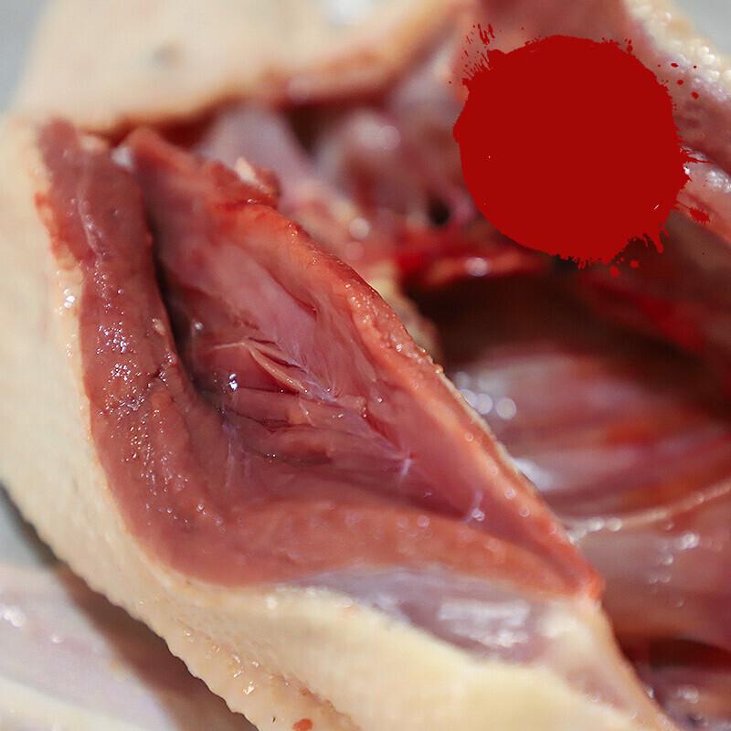 农家新鲜土鸭现杀鸭子肉整只鸭子水养鸭肉白条鸭非老鸭00
