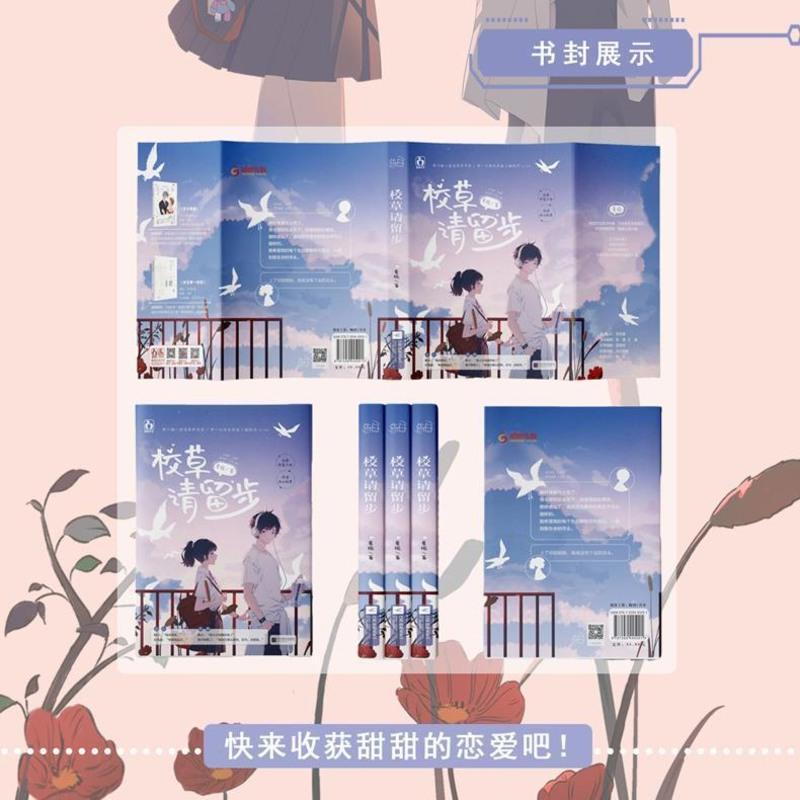 校草请留步正版全册 全程夏栀作品花火青春校园言情小说 2文冰山 如图