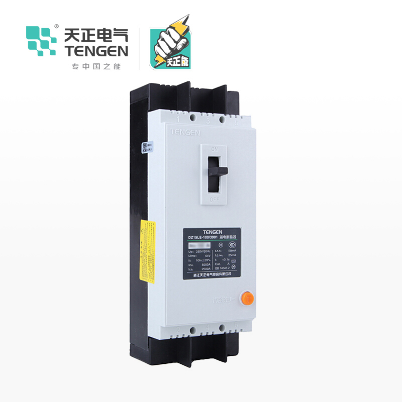 天正电气 DZ15LE-100 5KA热磁式 63A 2P手动固定式 380V 01020010023塑壳漏电保护断路器