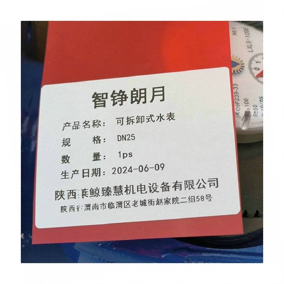 智铮朗月 可拆卸水表 DN25 个高清大图